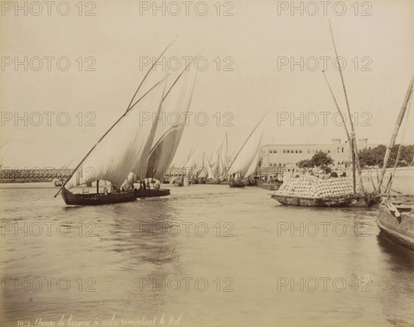 Sailing boats with cargo on the Nile, Group of sailing boats sailing up the Nile, photograph, Part of Travel Album with 80 Photos of Egypt., negative number: '1415', photographer: Maison Bonfils, Egypt, c. 1870 - c. 1898, North Africa, pasteboard, paper, albumen print, height 223 mm x width 280 mm, sailing-ship, sailing-boat, Nile, A wide water scene filled with multiple sailboats with large triangular sails, some sails overlapping and billowing, several small dark-hulled boats close to the camera and more farther back, a larger vessel at the right edge stacked high with rounded objects, a long low building with rows of windows along the shoreline, a metal bridge visible in the distance, vertical masts and poles rising from some boats, calm reflective water in the foreground, and a light sky occupying the upper part of the image.