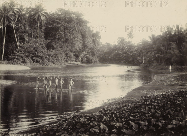 Children bathing in a body of water in the Dutch East Indies, photograph, Part of a travel album with forty photos of the Dutch East Indies., photographer: Onnes Kurkdjian, Dutch East Indies, The, 1912, paper, daylight gelatin silver print, height 175 mm x width 237 mm, wading, paddling, A wide river scene bordered by dense tropical vegetation with tall palm trees and leafy undergrowth, a sandy shoreline curving along the water, a group of children standing waist-deep in the river with some raising their arms, a person standing alone on the far right near the water's edge wearing light clothing, reflections of trees and figures visible on the water surface, abundant low plants and scattered branches on the foreground bank.