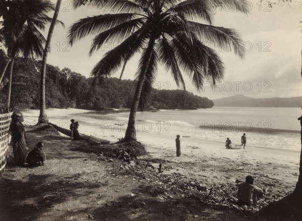 Beach scene in the Dutch East Indies, photograph, Part of Travel Album with Forty Photos of the Dutch East Indies., photographer: Onnes Kurkdjian, Dutch East Indies, The, 1912, paper, daylight gelatin silver print, height 175 mm x width 240 mm, beach, trees: palm-tree, A sandy beach lined with tall palm trees, their fronds spreading overhead and casting shadows on the shore, with waves gently lapping at the waterline and a distant tree-covered headland across the water; several people are on the beach and near the trees, some standing, some sitting or crouching, and a few near a small dugout canoe pulled up on the sand; the foreground shows leaf litter and scattered debris on the ground beneath the trees, and vegetation and a woven fence are visible at the left edge.