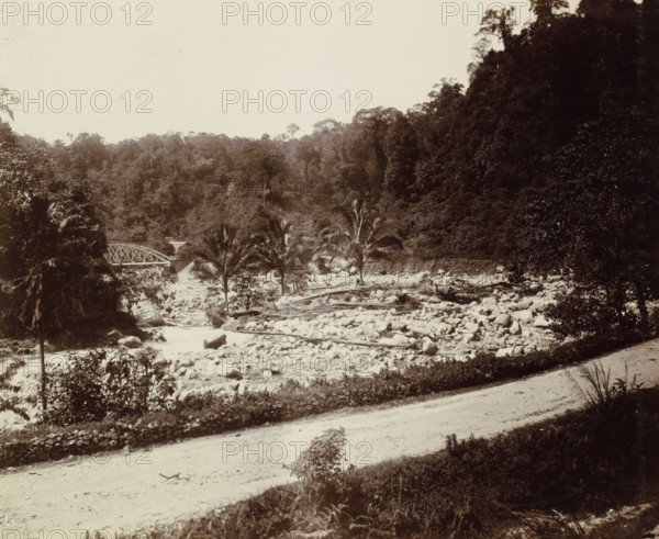 Dried-up riverbed with railway bridge over a brook in the Dutch East Indies, album page, photograph, Part of Album with photos of railways in the Dutch East Indies and postcards., Dutch East Indies, The, c. 1880 - c. 1910, photographer, pasteboard, paper, daylight paper print, height 230 mm x width 280 mm, landscape with bridge, viaduct or aqueduct, railway, train, A wide sepia-toned landscape showing a rocky riverbed strewn with boulders and fallen tree trunks, bordered by dense forested hills with tall trees and thick foliage; a metal truss bridge spans the river at one side, and several palm trees rise near the riverbank; a dirt road with a low stone wall runs across the foreground, and scattered shrubs and grasses grow along the road and river edges.
