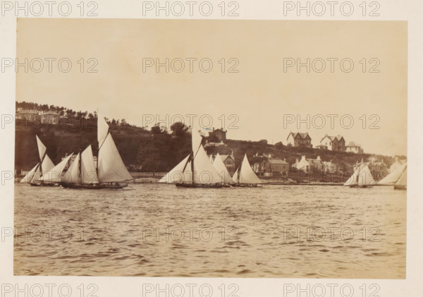 Various sailing ships on the water with buildings in the background, album page, photograph, This photo is part of an album., check stamp: 'Adamson, Rothesay.H.B', photographer: James Adamson, c. 1880 - c. 1900, paper, albumen print, height 191 mm x width 288 mm, sailing-ship, sailing-boat, landscapes with waters, waterscapes, seascapes (in the temperate zone), civic architecture, edifices, dwellings, A wide waterscape showing multiple sailing boats with large white triangular sails moving across rippled water in the foreground, a shoreline with houses and trees on a low hill behind the boats, and a pale sky filling the upper area of the scene.