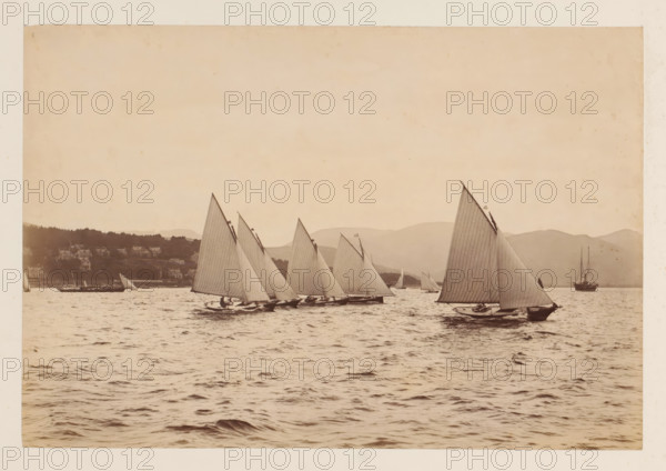Various sailing ships on the water with a hilly landscape in the background, album page, photograph, This photo is part of an album., photographer: attributed to James Adamson, c. 1880 - c. 1900, Attributed to, paper, albumen print, height 189 mm x width 279 mm, sailing-ship, sailing-boat, landscapes with waters, waterscapes, seascapes (in the temperate zone), (high) hill, A wide view of a body of water with several sailboats with tall, triangular sails angled similarly, their hulls close to the water and small crews visible aboard; a larger multi-masted vessel sits farther out near the horizon to the right. A shoreline with clustered houses and tree-covered hills runs along the left and center background, and low, rounded mountains are visible behind the boats. The sky is pale and largely empty, and the water in the foreground shows gentle waves and ripples.