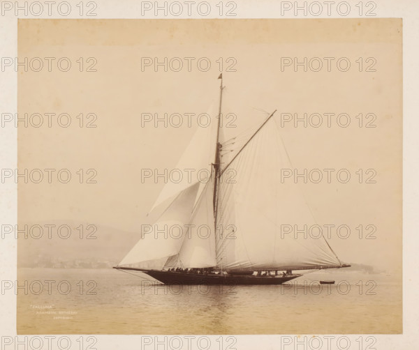 Sailing ship Calluna launched, album page, photograph, This photo is part of an album., inscription: ''Calluna', Adamson. Rothesay., Copyright', photographer: James Adamson, c. 1880 - c. 1900, paper, albumen print, height 229 mm x width 279 mm, sailing-ship, sailing-boat, landscapes with waters, waterscapes, seascapes (in the temperate zone), (high) hill, A large sailboat with tall masts and billowing sails is shown on calm water, its dark hull reflecting faintly on the surface; crew members stand along the deck and rigging lines run from the masts to the bow and stern, while a small rowboat floats nearby and a hazy shoreline and low hills are visible in the background under a pale sky.