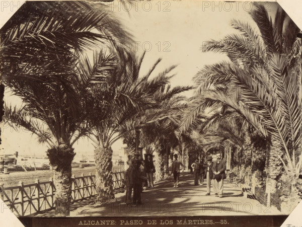 Alicante Paseo de los Mártires, Street view of Paseo de los Mártires de la Libertad in Alicante, album page, photograph, This photo is part of an album., number: '35.', annotation: 'Alicante - Paseo de los Martires', c. 1885 - in or before 1892-04-03, photographer, paper, albumen print, height 129 mm x width 173 mm, street, trees: palm-tree, Alicante (city), A tree-lined promenade with tall palm trees forming a canopy over a shaded walkway, a wooden fence along one side separating the path from a waterfront where boats are moored, several people standing and walking along the path wearing period clothing and hats, textured tree trunks and dense fronds creating patterned shadows on the ground, distant structures and masts visible beyond the fence, and a bright sky above.