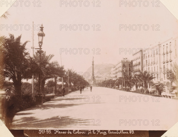 Street view of Paseo de Colón in Barcelona, Paseo de Colon, album page, photograph, This photo is part of an album., number: '95', annotation: 'Barcelona - Paseo de Colon', photographer: JE Puig, Barcelona (city), c. 1885 - in or before 1892-04-09, Catalonia, paper, albumen print, height 163 mm x width 211 mm, street, A wide tree-lined promenade with tall palm trees along both sides, ornate lampposts rising above the foliage, a paved walkway stretching toward a distant column topped with a statue, multi-story buildings with balconies and rows of windows flanking one side, scattered pedestrians walking or standing along the path, benches and low stone elements near the trees, a pale sky overhead and a hill visible behind the distant monument.