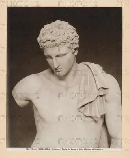 Head of the Hermes of Belvedere in the Vatican Museums in Vatican City, Rome - Vaticano - Testa del Mercurio detto l'Antinoo di Belvedere, photograph, Part of Photo album with photographs of landmarks and artworks in Italy., number: '12680', photographer: Edizioni Brogi, Vatican Museums, c. 1875 - in or before 1907, Edizioni Brogi, photographer, Vatican City, paper, gelatin silver print, height 250 mm x width 199 mm, sculpture, (story of) Mercury (Hermes), A photograph of a marble torso and head of a classical male statue against a dark background, showing curly hair, downcast eyes, a straight nose, and a closed mouth; the statue's shoulders and upper chest are visible, one arm missing at the shoulder, and a draped cloth rests over one shoulder and across the chest with visible folds and soft shadows.