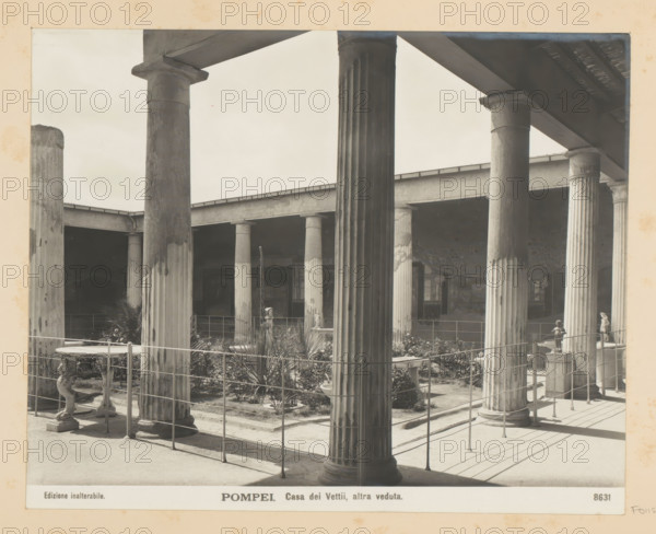 Pompeii. Casa dei Vetii, altra veduta, House of the Fat Ones in Pompeii, photograph, Part of Photo album with photographs of sights and works of art in Italy., number: '8631', Pompeii, c. 1875 - in or before 1907, photographer, paper, gelatin silver print, height 193 mm x width 242 mm, ruin of a building, architecture, housing, House of the Fat Ones, A sepia-toned photograph showing a colonnaded courtyard with tall fluted columns supporting an overhead entablature and roof structures, a low fence running along the foreground, stone pedestals and small statues positioned near the columns, planted beds with spiky and bushy foliage within the courtyard, shadow patterns cast across the tiled floor, and portions of interior wall surfaces and doorways visible beyond the colonnade.