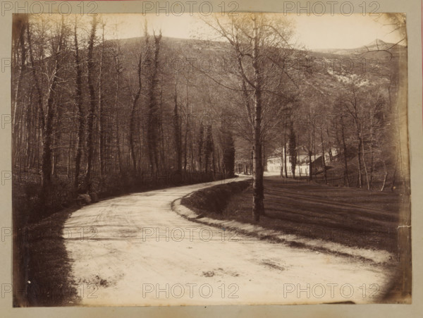 Road between trees with mountains in the background in the vicinity of Bagnères-de-Bigorre, album page, photograph, This photo is part of an album., annotation: 'Bagnères-de-Bigorre, ...', 1880 - 1910, photographer, paper, albumen print, height 176 mm x width 235 mm, public road, trees, mountains, Bagnères-de-Bigorre, A winding dirt road curves from the foreground into the midground, bordered on the left by a dense stand of tall leafless trees and on the right by evenly spaced bare trees casting long shadows over a grassy slope, with a light-colored two-story house partially visible among the trees on the right; the background shows forested hills and a distant peaked mountain under a pale sky.