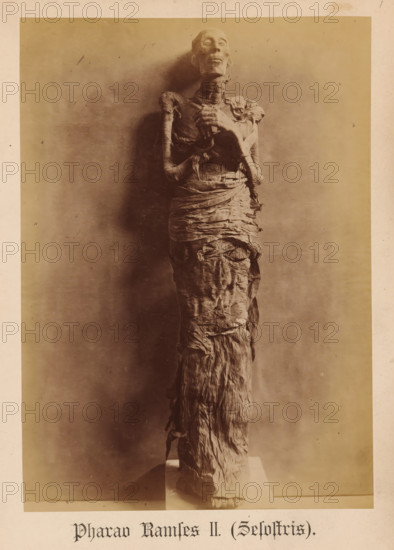Mummy of Pharaoh Ramses II, Pharaoh Ramses II (Sesostris), photograph, page, inscription: 'Verlag von S. Mayer in Esslingen', publisher: Samuel M. Mayer, c. 1881 - c. 1886, photographer, paper, albumen print, height 234 mm x width 165 mm, Person, Ramses II (Pharaoh of Egypt), king, mummy, North Africa, Egypt, A tall wrapped figure standing upright on a small pedestal, with a desiccated face and exposed skeletal arms crossed over the chest, layers of aged, tattered linen tightly wound around the torso and lower body, the wrappings showing frayed edges and folds, the head tilted slightly back with hollowed eye sockets and a thin, elongated neck, a plain neutral background with soft shadows cast to one side, the image framed by a light border.