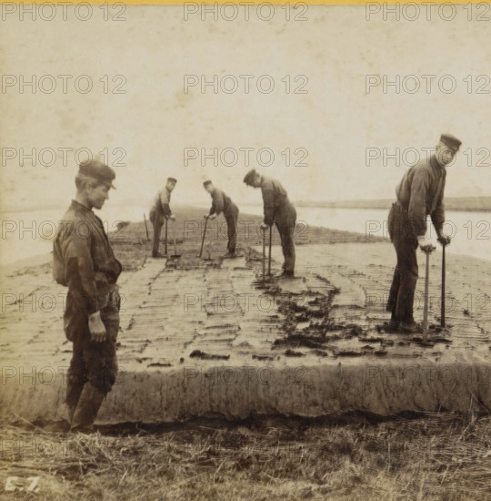 Peat workers cutting peat by hand, Peat treading, Collection E, Geographical gallery of images, collected by MJ Broekhuijsen, headmaster of a school in Amsterdam, stereograph, number: '7.', inscription: '(See pl. 6.) Now already rendered unnecessary in many places by the printing press.', number: 'E.7.', Netherlands, publisher: Merkelbach & Co., Amsterdam, compiler (person in literature): Martien Johan Broekhuijsen, 1900 - 1902, photographer, compiler (person in literature), pasteboard, paper, albumen print, height 86 mm x width 176 mm, peat-cutting, A sepia-toned photograph showing a flat muddy landscape with a low horizon and a body of water in the background, five young men wearing dark work clothes and caps standing and leaning over long handled tools stuck into the mud, the men arranged across the scene from left to right with one standing closer to the foreground on the left and another closer on the right, visible ruts and rectangular impressions in the wet ground, clumps of mud...