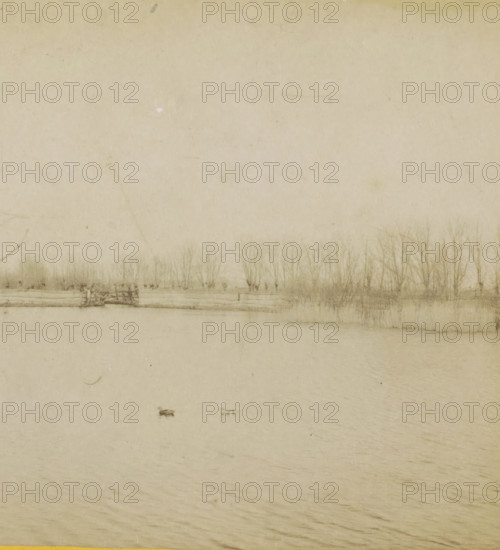 View of the Loosdrecht Lakes, Duck Decoy, Geographical Sculpture Gallery, collected by MJ Broekhuijsen, headmaster of a school in Amsterdam, Collection F, stereograph, number: '10.', inscription: 'near Loosdrecht. The central basin with one of the four decoys. Tame ducks, on the lake.', number: 'E.10.', Loosdrecht, publisher: Merkelbach & Co., Amsterdam, compiler (person in literature): Martien Johan Broekhuijsen, 1900 - 1902, photographer, compiler (person in literature), pasteboard, paper, albumen print, height 87 mm x width 176 mm, lake, Loosdrecht Lakes, A wide, pale scene with a horizontal strip of bare trees along the upper middle, a simple wooden fence in front of them, and a calm body of water filling the foreground with subtle ripples and two small waterfowl floating near the center.