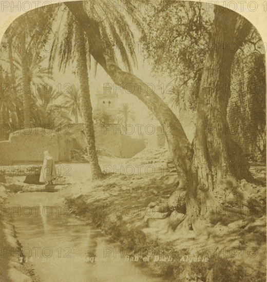 Palms and water near the Bab el Darb Mosque, Biskra, Biskra Mosquée de Bab el Darb. Algérie, stereograph, number: '114', number: '26050', photographer: JG Beers, publisher: Nederlandsche Stereoscoop Maatschappij, Amsterdam, 1868 - 1890, North Africa, pasteboard, paper, albumen print, albumendruk, height 88 mm x width 178 mm, trees: palm-tree, brook, shadow, A sepia-toned scene showing tall palm trees and large tree trunks along a muddy path and waterway, with leafy branches overhead and dense foliage in the background, rough stone or earthen walls partially visible, a small building with a tower seen faintly through the trees, a figure wearing a long garment standing near the water's edge, and reflections of trees in the water.