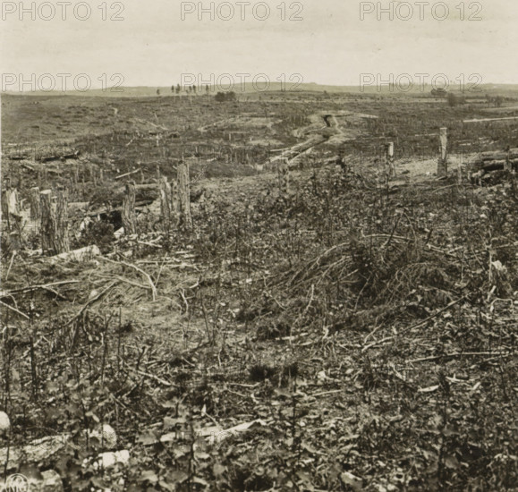 Krieg 1914-1916. Russer Schützengraben beo Grodno, Russian trenches in the First World War near Grodno, Belarus, stereograph, number: '296', stamp: 'PERRY, GALLERY', Grodno, publisher: Neue Photographische Gesellschaft, Berlin, 1916, photographer, paper, gelatin silver print, developing gelatin silver print, height 88 mm x width 180 mm, trenches, war, First World War, A wide open landscape with broken ground and scattered stumps and fallen branches stretching toward a distant horizon, a rough winding trench cutting through the midground, sparse low vegetation and tangled undergrowth in the foreground, isolated standing posts and a few small clusters of trees visible near the horizon under a pale sky.