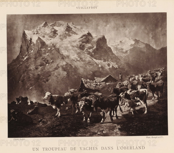 Un troupeau de vaches dans l'Oberland, Photo reproduction of the painting 'Un troupeau de vaches dans l'Oberland' by Félix de Vuillefroy-Cassini, reproduction, page, photomechanical print, photographer: Anatole Louis Godet, cliché maker: Goupil & Cie., after painting by Félix de Vuillefroy-Cassini, c. 1879 - in or before 1884, paper, Woodburytype, height 185 mm x width 240 mm, cow, mountains, Bernese Oberland, A sepia-toned scene shows a rugged mountain landscape with steep, snow-dusted peaks filling the upper area and a textured sky above; in the lower area a herd of cows occupies a muddy foreground, some standing and some lying down, with varied coat patterns and horns visible, and a shepherd figure stands near a small rustic shelter with a sloped roof among the animals.