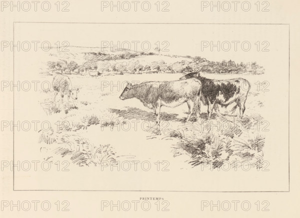 Portrait of Antoine Étex, Antoine Étex, page, photomechanical print, photographer: Ferdinand Mulnier, cliché maker: anonymous, c. 1879 - in or before 1884, paper, Woodburytype, height 120 mm x width 85 mm, Person, historical persons, A wide rectangular sketch shows a pale field with three cows standing in the foreground and one cow farther back near the left, rough grassy clumps scattered across the ground, and a distant tree line and low rolling hills sketched along the horizon.