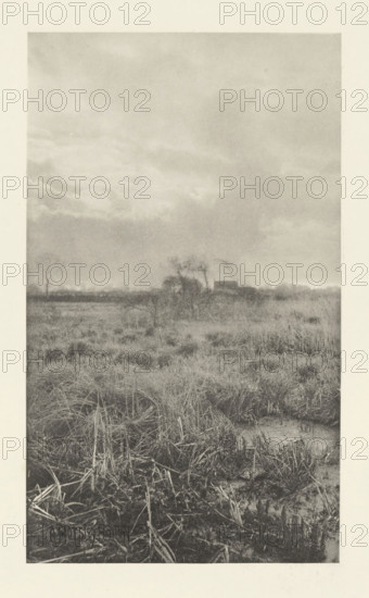 Heathland landscape, 'Gladden and Bent', photomechanical print, photographer: Alfred Horsley Hinton, cliché maker: Fillon & Heuse, printer (person): Charles Wittmann, Paris, c. 1891 - in or before 1896, printer (person), paper, photoaquatint, height 208 mm x width 123 mm, plain, A monochrome landscape showing a flat, marshy field with tall grasses and clumps of vegetation in the foreground and middle ground, with patches of standing water and flattened reeds; a line of low trees and a small building appear along the distant horizon, partly obscured by the vegetation; the sky above is expansive and filled with layered, textured clouds.