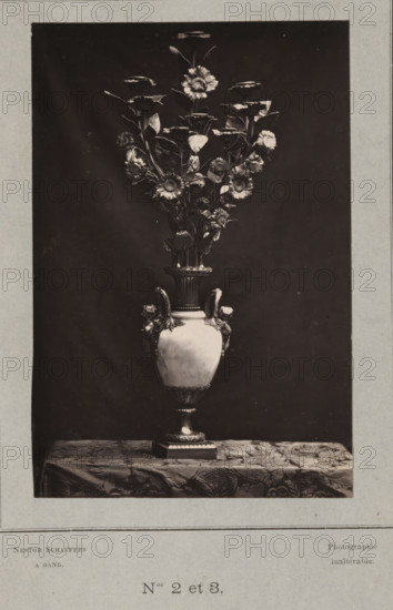 Decorated vase, photograph, page, inscription: 'Photographie, inaltérable.', number: 'PL. II., Nos 2 et 3.', photographer: Paul Joseph Nicolas Nestor Schaffers, c. 1873 - in or before 1878, paper, carbon print, height 136 mm x width 91 mm, vase, ornament, A tall ornate vase sits centered on a patterned tablecloth against a dark backdrop, filled with a symmetrical arrangement of long-stemmed flowers and leaves rising upward; the vase has decorative handles and a fluted neck leading to a rounded body and a detailed base, and the floral display shows multiple daisy-like blooms and clustered foliage with visible petals and leaves.