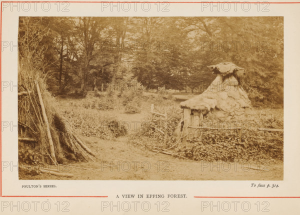 View in Epping Forest, A View in Epping Forest, photograph, page, photographer: Poulton, Epping Forest, c. 1870 - c. 1890, Essex (county), Greater London, paper, albumen print, height 88 mm x width 143 mm, forest, wood, A sepia-toned outdoor scene showing a wooded area with tall trees and dense foliage in the background, a dirt path leading inward flanked by low shrubs and groundcover, a thatched structure with a rounded, layered roof and rough wooden supports partially covered by climbing plants on the right, a rustic fence made of rough branches near the thatched structure, a leaning bundle of long branches and sticks propped on the left, scattered logs and twigs on the ground, and an off-white border surrounding the image.