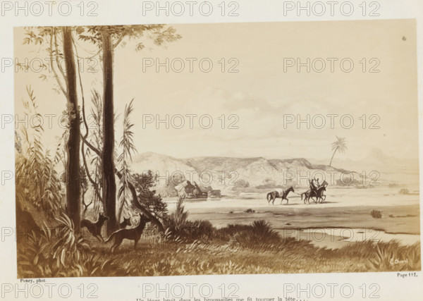Photo reproduction of a painting of horsemen in a landscape in Australia, Un léger bruit dans les broussailles me fit tourner la tête..., photograph, reproduction, page, inscription: 'Page 112.', photographer: François Poncy, after painting by Louis-Étienne Duval, c. 1863 - in or before 1868, paper, albumen print, height 113 mm x width 182 mm, Photo on unnumbered page after page 212., riding a horse, ass, or mule, rider, horseman, low hill country, Australia, A sepia-toned landscape shows a foreground of tall trees with visible trunks and hanging vines, dense leafy undergrowth, and a pair of animals peering from the vegetation, while the middle ground opens to a flat shoreline with grasses and a shallow water area and three riders on horses moving along the shore, and the background features distant rolling hills, rocky formations, and a solitary palm tree under a pale sky.