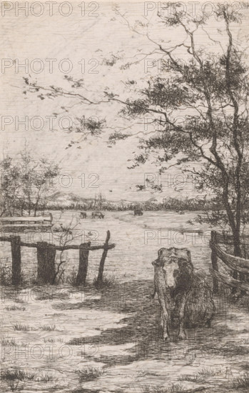 Cow being milked in a meadow, print, printmaker: Philip Zilcken, 1867 - 1890, paper, etching, intaglio printmaking technique, height 222 mm x width 144 mm, meadow, pasture, milking, cow, A detailed monochrome sketch shows a pastoral riverside scene with a cow standing in the foreground near a wooden fence and a narrow path, a leafed tree rising on the right with branches stretching into the sky, additional trees and low vegetation along the water’s edge, a calm body of water extending toward a distant treeline, faint silhouettes of more cattle or large shapes in the water area, a simple dock or pier structure on the left, scattered grasses and textured ground in the foreground, and a lightly hatched sky filling the upper portion of the image.