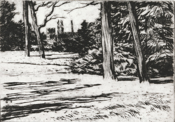Forest and chimney, print, In the foreground a forest and in the background on the horizon a chimney., signature: 'KEES STOOP', printmaker: Kees Stoop (signed by artist), 1944 - c. 1990, paper, drypoint, height 240 mm x width 277 mm, height 140 mm x width 200 mm, forest, wood, A black and white etching showing a landscape with tall tree trunks in the foreground and dense evergreen foliage behind them, a cleared ground area with textured lines and scattered short strokes suggesting grass or snow, and distant vertical structures partially obscured by trees under a pale sky.
