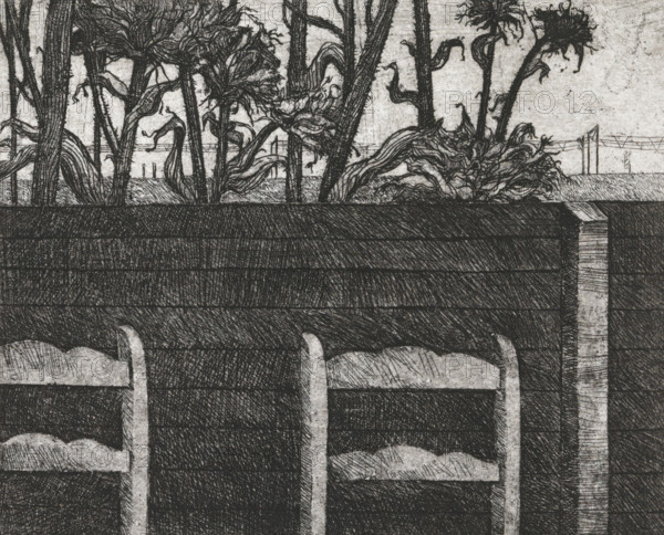 Chairs by fence, print, Backrests of chairs in front of a fence behind which sunflowers stand., signature: 'KEES STOOP', printmaker: Kees Stoop (signed by artist), 1944 - c. 1990, paper, etching, intaglio printmaking technique, etching with plate tone, height 185 mm x width 213 mm, height 125 mm x width 152 mm, backyard, A detailed black and white sketch shows the tops of vertical posts and horizontal planks forming a fence or barrier, with textured shading and crosshatching across the wood surfaces; above the planks twisted plants and tall stems rise with leafy, flowing shapes and tangled roots, and slender trunks and branches extend upward against a lightly textured background.