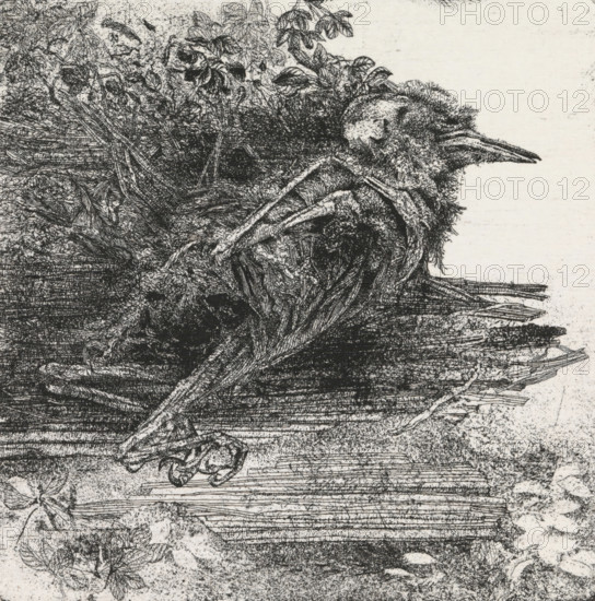 Dead bird, print, Dead, decomposing bird., date: ''79', signature: 'KEES STOOP', inscription: '1e STAAT', print maker: Kees Stoop (signed by artist), c. 1975 - in or before 1977, Kees Stoop, printmaker, paper, etching, height 185 mm x width 180 mm, height 147 mm x width 147 mm, birds (dying animal, death of animal, dead animal), A detailed black and white etching showing a dense cluster of feathers, twigs, and foliage forming the shape of a lumpy bird-like form lying on a textured surface, with a long pointed beak extending to the right, layered plumage and tangled stems across the body, visible clawed toes and intertwined roots beneath, and scattered leaves and delicate vegetation around the edges, rendered in fine cross-hatched lines and stippled shading against a lightly mottled background.