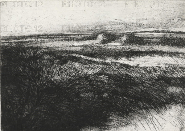 Dune landscape, print, Dune landscape with marram grass, the sea on the left on the horizon., signature: 'KEES STOOP', date: ''75-'76', print maker: Kees Stoop (signed by artist), c. 1975 - c. 1976, printmaker, paper, etching, aquatint, etching and aquatint, height 126 mm x width 198 mm, height 108 mm x width 150 mm, dunes (sea not visible), in the dunes, A monochrome landscape rendered with dense, dark, scratch-like strokes in the lower portion transitioning to lighter, more diffuse markings toward the top, suggesting layered fields or grassy textures; heavy, tangled black lines create a mass in the foreground while finer, horizontal and diagonal strokes form ridges and bands across the middle ground, and the sky area at the top is pale with faint speckling and subtle horizontal smudges.
