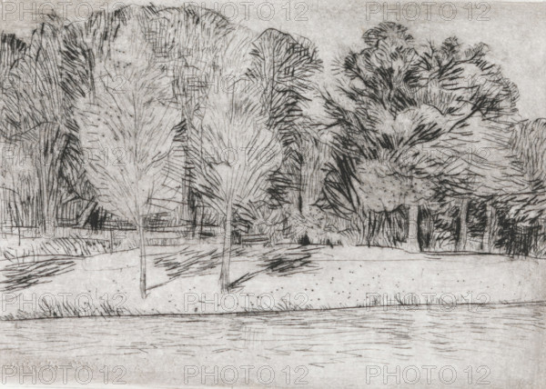 Park by the water, print, a bench in the middle of the image., signature and date: 'KEES STOOP', printmaker: Kees Stoop (signed by artist), 1944 - c. 1990, paper, drypoint, intaglio printmaking technique, drypoint with plate tone, height 175 mm x width 232 mm, height 125 mm x width 177 mm, park, A monochrome sketch of a landscape showing a row of trees with varied foliage along a grassy bank, their trunks and branches drawn with fine, textured lines; in front of the trees a horizontal strip of water reflects short, horizontal strokes and ripples, and the ground between trees and water is marked with scattered small dots and short hatch marks; the sky area above is lightly shaded and the overall image consists of delicate cross-hatching and linear marks creating the forms and textures.