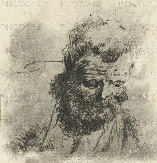 Head of an old man with a beard, print, printmaker: Dirck de Bray, Netherlands, 1645 - 1694, paper, etching, intaglio printmaking technique, etching with plate tone, height 52 mm x width 43 mm, old man, A portion of a sketch on textured paper showing a bearded man's head and upper torso rendered in dark, rough pencil or charcoal strokes, with detailed curly hair and a prominent beard, a visible ear and part of an eye, and loose, sketchy lines suggesting shoulders and clothing against a worn, lightly stained background.
