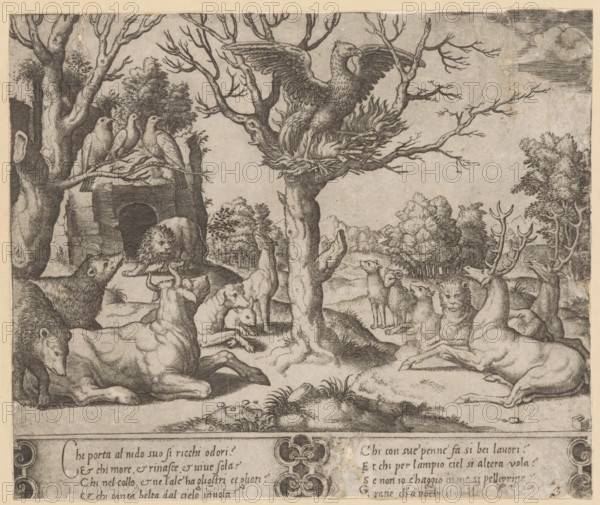 Phoenix, print, A self-immolating phoenix in a tree, surrounded by other animals including bears, dogs, and deer. Italian text in two columns in bottom margin., collector's mark: 'Hinloopen', number: '3', printmaker: Master of the Dice, Italy, after design by Raphael (possibly), c. 1530 - c. 1560, Master of the Dice, Raphael, printmaker, after design by, paper, engraving, intaglio printmaking technique, engraving with plate tone, height 179 mm x width 218 mm, fabulous animals, birds: phoenix, A monochrome engraving showing a forest clearing with many animals gathered beneath and around several leafless trees; a large bird with outstretched wings sits in a nest high in one tree while three smaller birds perch on a branch near a stone structure; various mammals including reclining and standing deer, a lion near the entrance of a dark arched opening, a wolf or dog with raised head, and other horned animals occupy the foreground and midground; distant trees and hills form the background un...