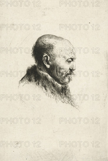 Bald headed man in profile right: the artist's father (?), print, printmaker: Ignace-Joseph de Claussin, after print by Rembrandt van Rijn, 1805 - 1844, Ignace-Joseph de Claussin, Rembrandt van Rijn, printmaker, after print by, paper, etching, height 133 mm x width 89 mm, Person, Harmen Gerritsz. van Rijn, old man, baldness, A monochrome pen or etching portrait of an elderly man shown in profile facing right, with a receding hairline, sparse hair on top, denser hair at the back of his head, pronounced ear, and a thin mustache and goatee; his facial features are rendered with fine, stippled and hatched lines showing wrinkles and textured skin, and he wears a fur-collared garment with dense, flowing strokes suggesting hair or fur, all set against a plain, lightly textured background.
