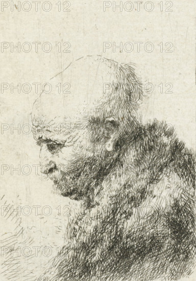 Bald headed man in profile right: small bust, the artist's father (?), print, printmaker, after print by, Rembrandt van Rijn, paper, etching, height 81 mm x width 62 mm, Mirror-image copy after the print of the same name by Rembrandt., Person, Harmen Gerritsz. van Rijn, old man, baldness, A detailed ink drawing of an elderly man in profile facing left, showing a bald, rounded scalp, a deeply wrinkled forehead, a prominent hooked nose, a downturned mouth, a full beard and mustache with dense, short strokes, a visible ear partly obscured by hair, and textured shading on his neck and upper shoulders against a plain, slightly textured background.