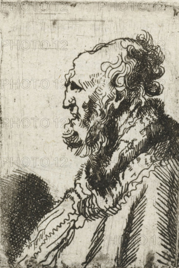 Bald old man with a short beard, in profile right, print, printmaker, after print by, Rembrandt van Rijn, paper, etching, intaglio printmaking technique, height 56 mm x width 38 mm, Mirror image copy after the print of the same name by Rembrandt., old man, A monochrome ink drawing of an elderly profile facing left, showing a bald forehead with a receding hairline and a mass of curly hair at the back of the head. The face has a prominent hooked nose, a pronounced brow, deep-set eye, and a long, wavy beard with detailed line work. The neck and shoulders are draped in textured, layered clothing with dense cross-hatching and flowing lines. The background is a plain, lightly textured paper with faint scratches and marks.