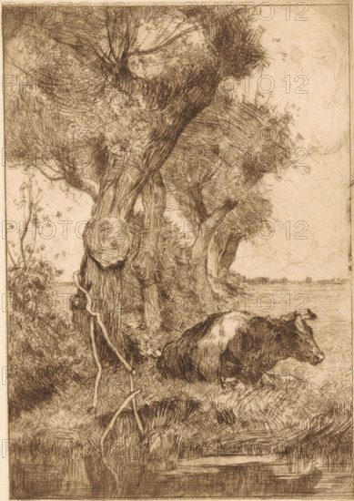 Resting cow by the waterside, print, Lying cow by the waterside next to some trees., signature: 'G. Altmann', printmaker: Gerard Altmann (signed by artist), 1887 - 1940, paper, etching, printed in brown, height 180 mm x width 128 mm, cow, A detailed ink drawing shows a wooded riverside scene with large, gnarled trees occupying much of the upper area, their trunks and branches rendered with dense, textured lines and leafy canopies. In the foreground a cow stands near the water’s edge, its head turned slightly and its body shaded with fine crosshatching. Grass and low vegetation fill the ground around the trees and along the shoreline, drawn with short, varied strokes. A thick, knotted tree trunk with a rounded cut surface and a hanging vine-like root is visible toward the left, and distant low land is suggested across the water under a sky with soft, lightly sketched clouds.