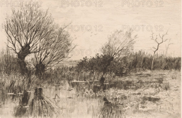 Pollarded willows by the water, A quiet spot (original title), print, printmaker: Geo Poggenbeek (signed by artist), 1863 - 1903, paper, chine collé, etching, intaglio printmaking technique, etching with plate tone on chine collé, height 174 mm x width 225 mm, water course, trees: willow, A monochrome etching of a marsh landscape with clusters of leafless, twiggy trees and shrubs along a water edge, tall grasses and reed beds surrounding the scene, a calm reflective water surface showing faint mirror images of the vegetation, a few birds depicted in flight over the distant horizon, a bare twisted tree trunk standing isolated to one side, and a textured sky with fine horizontal etching marks.
