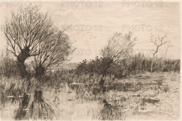 A quiet spot (original title on object), print, Pollard willows by the water., printmaker: Geo Poggenbeek, 1863 - 1903, paper, chine collé, etching, intaglio printmaking technique, height 174 mm x width 225 mm, water course, trees: willow, A monochrome etched landscape showing a marshy foreground with still water reflecting vegetation, tall grasses and reeds at the water’s edge, and tangled rootlike forms partly visible in the reflection; on the left a large, gnarled tree with many fine bare branches rises from the bank, with dense undergrowth at its base, and to the right several smaller, windswept trees and shrubs with thin, branching silhouettes stand against a distant band of reedlike vegetation; the sky above is lightly textured with faint horizontal and diagonal lines and a few small birds are drawn in flight near the center.