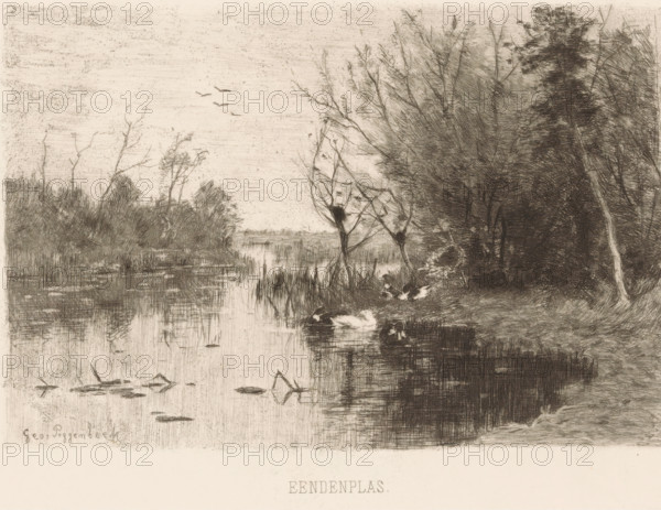 Duck Pond (original title on object), print, Ducks along and on the bank of a pond., printmaker: Geo Poggenbeek, 1863 - 1903, paper, chine collé, etching, intaglio printmaking technique, etching with plate tone on chine collé, height 175 mm x width 231 mm, lake, water-birds: duck, A monochrome etching of a riverside scene showing a calm body of water bordered by reeds and trees, with dense, dark foliage on the right and sparser, leafless branches on the left; the water reflects the shoreline and scattered aquatic plants, and several waterfowl float near the near bank while a few birds fly in the sky above; the composition emphasizes fine, crosshatched lines and textured shading throughout.
