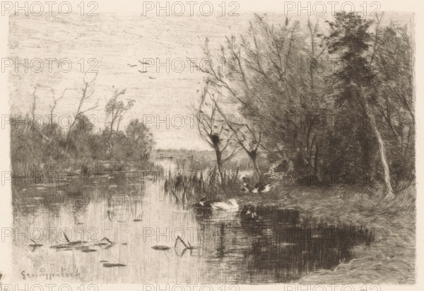 Eendenplas (original title), Ducks along and on the bank of a pond, print, printmaker: Geo Poggenbeek (signed by artist), 1863 - 1903, paper, chine collé, etching, intaglio printmaking technique, etching with plate tone on chine collé, height 175 mm x width 227 mm, lake, water-birds: duck, A monochrome etching of a riverside scene showing a calm stretch of water bordered by tall, leafless and densely foliaged trees, with reeds along the near shore and reflections on the water surface. Several waterfowl float near the bank while a few birds are visible in flight above the distant tree line. The right side of the image is dominated by a cluster of dense trees and undergrowth, including a slender, lighter-colored tree trunk leaning inward, while the left side opens to a more distant view of low vegetation and barren branches. The sky is textured with fine horizontal etching marks and the foreground includes detailed ripples and reflections in the water.