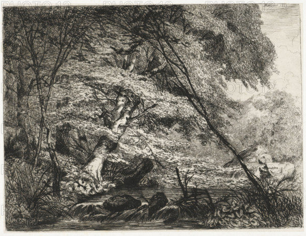 Forest landscape with a stream, print, printmaker: Martinus Antonius Kuytenbrouwer jr., Brussels, 1853, paper, chine collé, etching, drypoint, intaglio printmaking technique, plate tone and drypoint on chine collé, height 112 mm x width 147 mm, forest, wood, brook, An etching of a densely wooded riverside scene showing a fallen tree trunk lying diagonally across the composition with detailed bark and branches, overhanging leafy canopy and slender trunks rising upward, a calm water surface partially visible framed by rocks and reedlike plants, textured foliage and undergrowth filling the foreground and middle ground, a distant treeed hillside and scattered clouds visible through a break in the canopy, and intricate crosshatching and linework throughout the image.