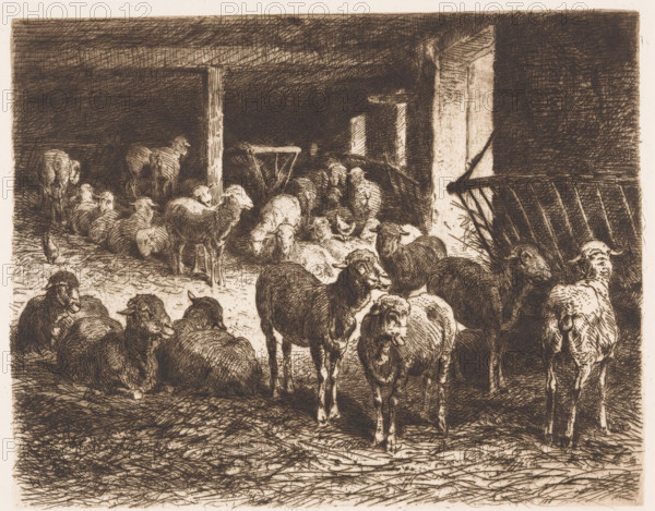 Sheep in a barn, print, printmaker: Albert Heinrich Brendel, Weimar, publisher: Weimarer Radierverein, 1887, Thuringia, paper, chine collé, etching, intaglio printmaking technique, etching with plate tone in brown, on chine collé, height 231 mm x width 277 mm, Print is part of a group of prints published between 1880 and 1888 by the Gesellschaft für Radierkunst in Weimar., sheep, barn - AA - civic architecture: inside, A densely shaded pen-and-ink scene of a barn interior filled with sheep, showing animals standing and lying on a textured floor; wooden beams and posts form the structure with a tall post near center and a partially visible doorway or opening to the right; a feeding rack or gate with slats leans against the right wall; hay or straw is scattered on the ground and tucked near the rack; various sheep faces and woolly bodies are rendered in crosshatched lines, some looking forward, some turned away, with shading creating depth and contrast between the darker background and l...