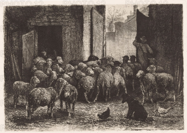 Sheep leaving the barn, print, printmaker: Albert Heinrich Brendel, Weimar, publisher: Weimarer Radierverein, 1886, Thuringia, paper, chine collé, etching, intaglio printmaking technique, height 204 mm x width 288 mm, Print is part of a group of prints published between 1880 and 1888 by the Gesellschaft für Radierkunst in Weimar., herding, herdsman, herdswoman, shepherd, shepherdess, cowherd, sheep, barn, A detailed monochrome scene shows a flock of sheep filling a narrow courtyard or alley, their woolly bodies densely grouped and facing various directions; a person wearing a hat and coat stands at one side near a wall, seen from behind and partly silhouetted, appearing to guide or watch the animals; a dark dog sits in the foreground with a chicken nearby on textured ground; surrounding walls, doorways, and an open gate create a framed passageway with light filtering in from the distance, and the image is rendered with fine, crosshatched lines and rich shadowing.