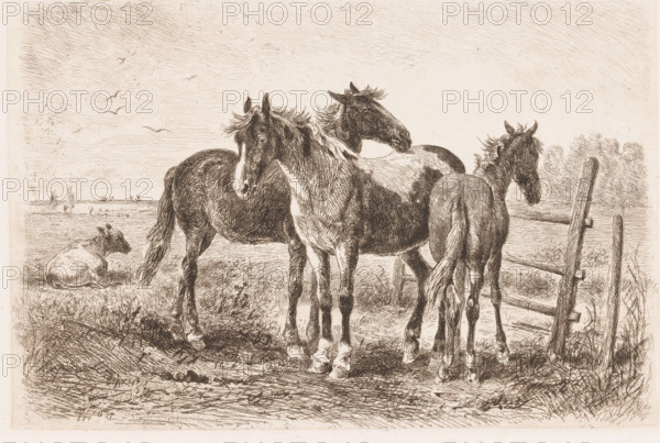 Three horses in a meadow, a cow in the background, print, printmaker: Albert Heinrich Brendel, Weimar, 1884, 1885, Thuringia, paper, chine collé, etching, intaglio printmaking technique, etching with plate tone in brown, on chine collé, height 197 mm x width 299 mm, Print is part of a group of prints published between 1880 and 1888 by the Gesellschaft für Radierkunst in Weimar., meadow, pasture, horse, cow, A monochrome etching shows a rural scene with three horses standing closely together near a wooden fence and a young horse turned to the side, their manes and tails depicted with fine, flowing lines; a cow lies on the grass nearby while distant fields, a few small figures, and birds in the sky appear on the horizon, and the foreground is textured with detailed grass and dirt strokes.