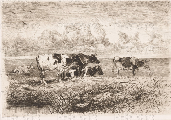 Cows in the meadow, print, printmaker: Albert Heinrich Brendel, Weimar, publisher: Weimarer Radierverein, 1885, Thuringia, paper, chine collé, etching, intaglio printmaking technique, height 176 mm x width 256 mm, Print is part of a group of prints published between 1880 and 1888 by the Gesellschaft für Radierkunst in Weimar., meadow, pasture, cow, A wide horizontal landscape rendered in fine pen lines shows a group of cows on grassy ground near a body of water, with some cows standing and some reclining; their coats are marked with darker patches against a lighter background. The foreground contains textured grasses and low vegetation drawn with dense hatch marks. The middle ground features the cows arranged across the scene, one cow separated to the right and others grouped toward the center, their horns and facial profiles indicated by delicate strokes. The distant horizon and water are suggested by horizontal lines. Above, the sky is filled with layered, swirling cloud formations a...