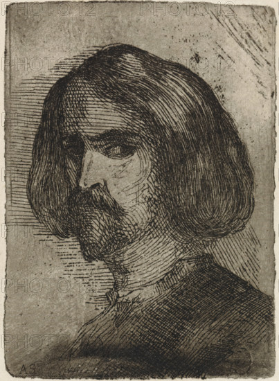 Portrait of Theodoor Schaepkens, Head of an unknown man with medium-length hair (former title), print, Portrait of the artist Theodoor Schaepkens, Arnoud's older brother., printmaker: Arnoud Schaepkens, 1831 - 1904, Arnoud Schaepkens, printmaker, paper, etching, aquatint, etching and aquatint, height 81 mm x width 57 mm, Person, Theodoor Schaepkens, anonymous historical person portrayed alone, A sepia-toned etching shows a three-quarter view of a man's head and upper torso facing left. The man has shoulder-length hair with visible individual strokes and a full mustache and beard rendered with fine cross-hatching. His nose is prominent and his eye looks toward the viewer. The background is textured with horizontal and diagonal etched lines and scattered speckling. The clothing is suggested with dense cross-hatched lines and the paper edge is visible around the image.