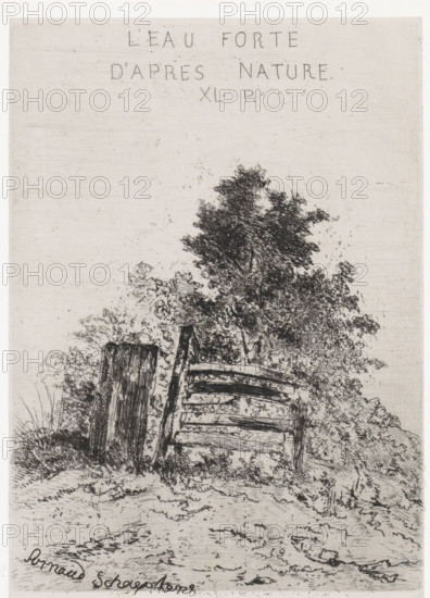 Nature-based water XL P., Fence in front of a vegetated hillock, print, printmaker: Arnoud Schaepkens, 1855 - 1904, paper, etching, drypoint, etching and drypoint, height 214 mm x width 157 mm, landscapes, annexes and outbuildings, fencing, gate, A vertical monochrome etching showing a rough wooden gate or fence leaning at an angle amid dense foliage and grasses, with a tall tree rising behind the barrier and textured ground in the foreground, faint horizontal shading in the sky area, and handwriting near the top and a signature at the bottom.