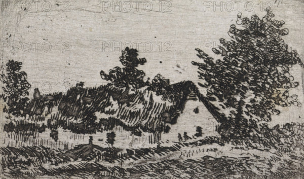 Thatched house in a landscape, print, printmaker: Arnoud Schaepkens, 1855 - 1904, paper, chine collé, etching, drypoint, etching and drypoint, height 52 mm x width 85 mm, cottage, A monochrome etched landscape showing a sloping field in the foreground with visible hatch and line shading, grasses and small clustered vegetation, a triangular-roofed cottage partially obscured by foliage, and groups of trees with dense, looping leaf textures extending across the middle and right side; the sky above is textured with faint scratches and speckles.