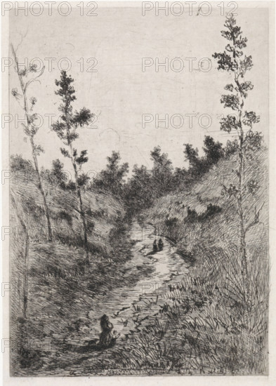 Walkers on a path between two hills, print, printmaker: Arnoud Schaepkens, 1855 - 1904, paper, chine collé, etching, drypoint, etching and drypoint, height 260 mm x width 183 mm, forest path or lane, low hill country, A narrow, vertically oriented monochrome etching depicting a winding dirt path or stream flanked by tall grasses and sloping banks, with slender, leafy trees rising along both sides; dense, scribbled foliage fills the middle ground and distant treeline, while the foreground shows textured grass and vegetation. Two small seated human figures appear on the path further back, and a single small figure sits closer to the foreground facing the path. The sky above is pale and largely empty, with faint scratches and marks from the etching process. The overall image is composed of fine, crosshatched lines and varied ink density creating depth and texture.