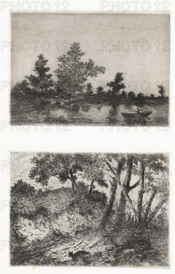 Water landscape with rowboat, Woodland landscape with a fox, print, printmaker: Arnoud Schaepkens, 1855 - 1904, paper, chine collé, etching, drypoint, etching and drypoint, two images on one sheet, printed from two different plates, height 108 mm x width 152 mm x height 109 x width 150, landscapes with waters, waterscapes, seascapes (in the temperate zone), beasts of prey, predatory animals: fox, boat propelled by man or animal, A vertical print showing two separate etched landscape scenes stacked one above the other, each framed by a thin rectangular border; the upper scene depicts a calm body of water with reflected ripples, a low treeline along the far shore with a variety of tree silhouettes rising against a pale sky, and a small rowboat near the right shore with a seated figure holding an oar; the lower scene shows a shaded riverside or woodland clearing with tall trees at the right edge, dense undergrowth and textured ground, and a small animal moving in the foreground.