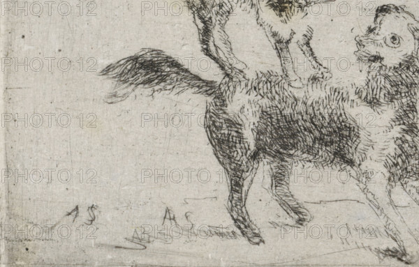 Dog and cat, print, printmaker: Arnoud Schaepkens, 1831 - 1904, paper, chine collé, etching, drypoint, etching and drypoint, height 68 mm x width 89 mm, dog, cat, A close-up etching of two animals showing the rear half of one with a bushy tail and the front half of another with a visible face, both rendered in fine dark hatch lines on a light textured background, with scratches and spots on the paper surface.